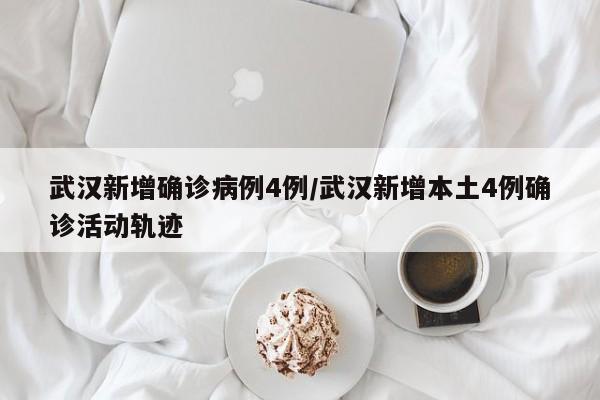 武汉新增确诊病例4例/武汉新增本土4例确诊活动轨迹